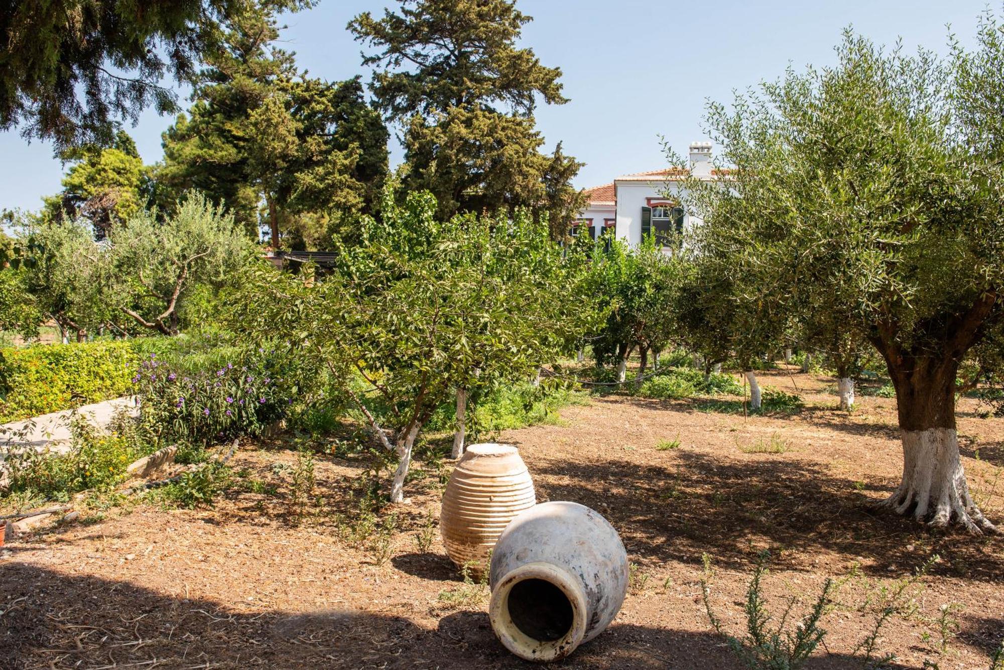 Calvocoressi Estate Chios Town Exterior foto